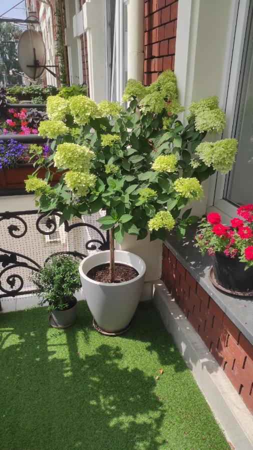 Apartament Przy Galerii Forum Gliwice Witkiewicza Kültér fotó